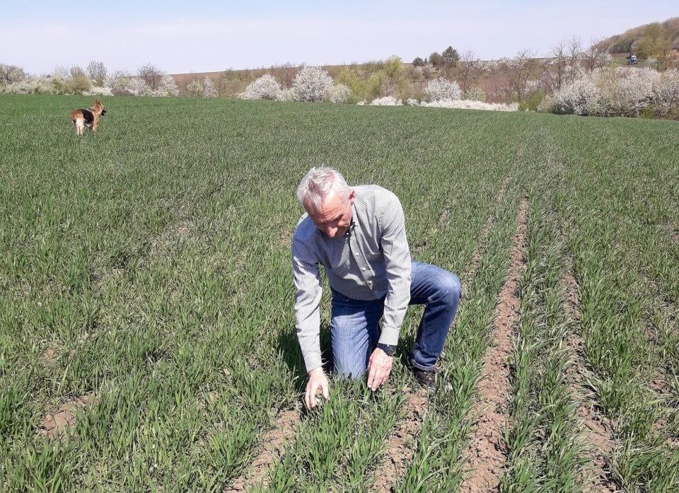 Рідна земля...